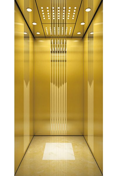 320kg Small Elevator for Villa